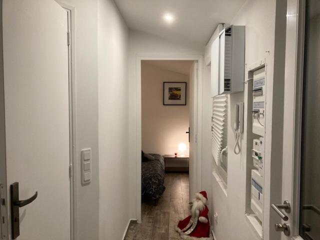 Appartement Mozart ستراسبورغ المظهر الخارجي الصورة
