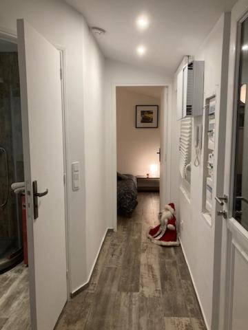 Appartement Mozart ستراسبورغ المظهر الخارجي الصورة